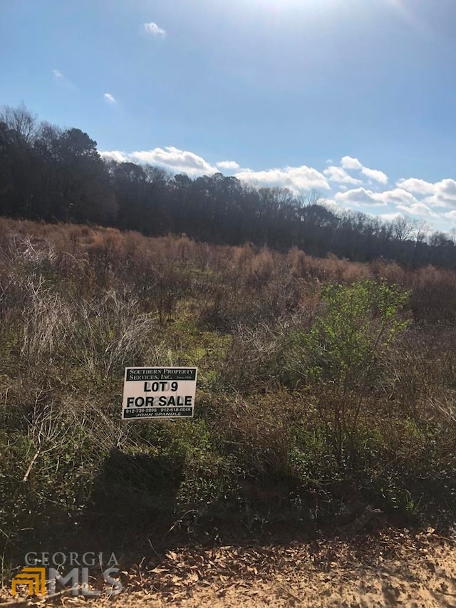 0 Sinkhole Rd, Register GA, 30452 land for sale