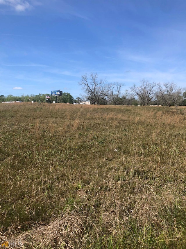 0 Old Dublin Rd, Claxton GA, 30417 land for sale