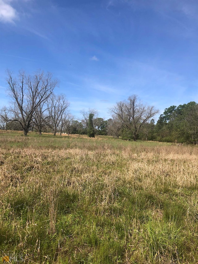 Listing photo 3 for 0 Old Dublin Rd, Claxton GA 30417