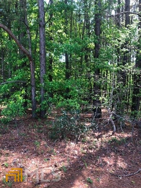 Listing photo 2 for 0 Pine St, Claxton GA 30417