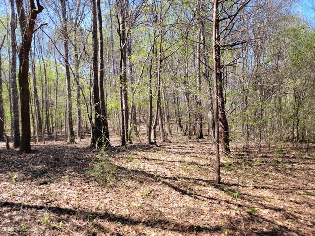 0 Sand Pit Rd, Summerville, GA 30747