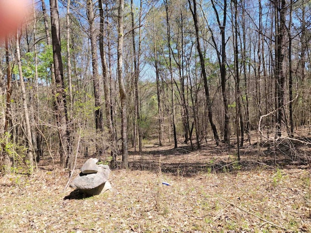 0 Sand Pit Rd, Summerville, GA 30747