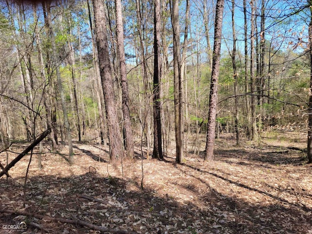 0 Sand Pit Rd, Summerville, GA 30747
