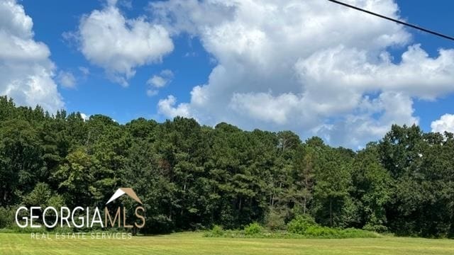 0 Tye, Stockbridge GA, 30281 land for sale