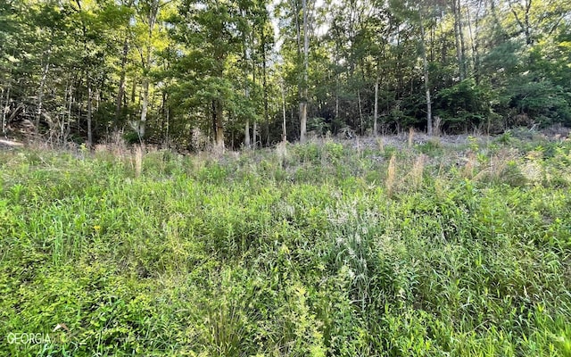 Listing photo 2 for LOT2 Fires Creek Rd, Hayesville NC 28904