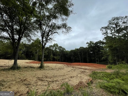 LOT7 Mountain View Dr, Hamilton GA, 31811 land for sale