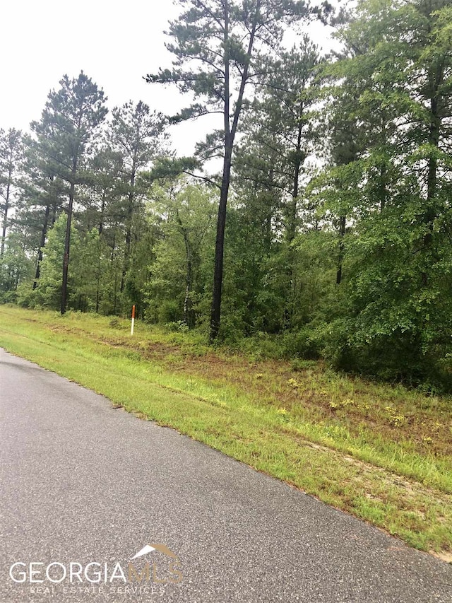 Listing photo 2 for 0 Muskogee Trl Lot 78, Dublin GA 31021