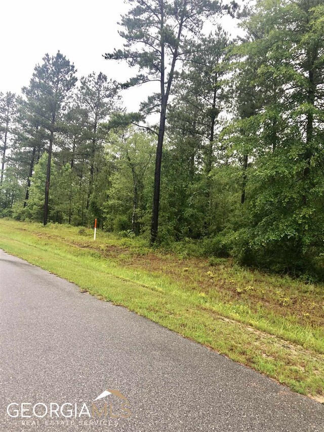 0 Grey Wolf Trl Lot 144, Dublin, GA 31021