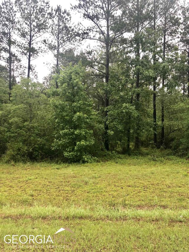 0 Grey Wolf Trl Lot 144, Dublin, GA 31021