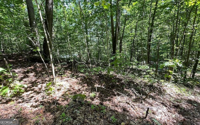 LOT8D Eagle Hts, Hiawassee GA, 30546 land for sale