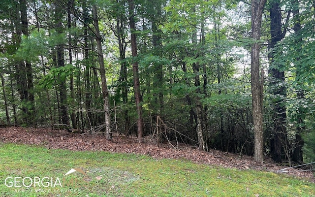 LOT40 Double Knobs, Hayesville NC, 28904 land for sale