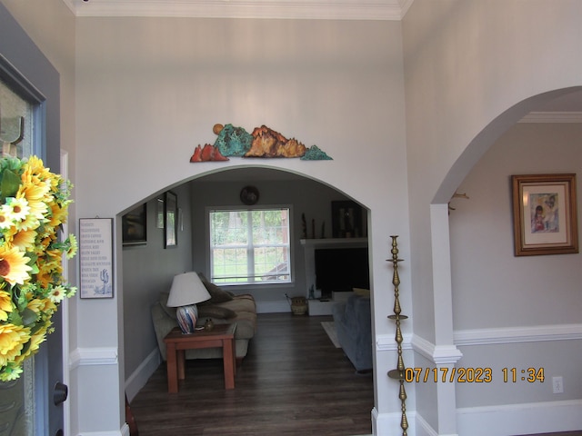 interior space with crown molding and dark wood-type flooring