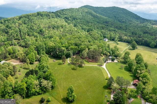 bird's eye view featuring a mountain view