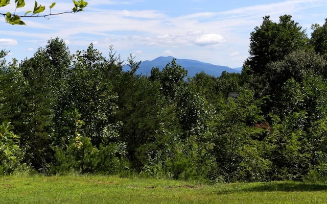 view of property view of mountains