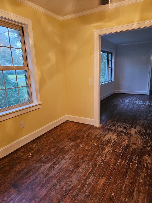 empty room with crown molding, a wealth of natural light, and dark hardwood / wood-style flooring