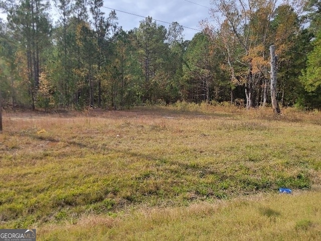 691 W Trilby St, Wrightsville GA, 31096 land for sale