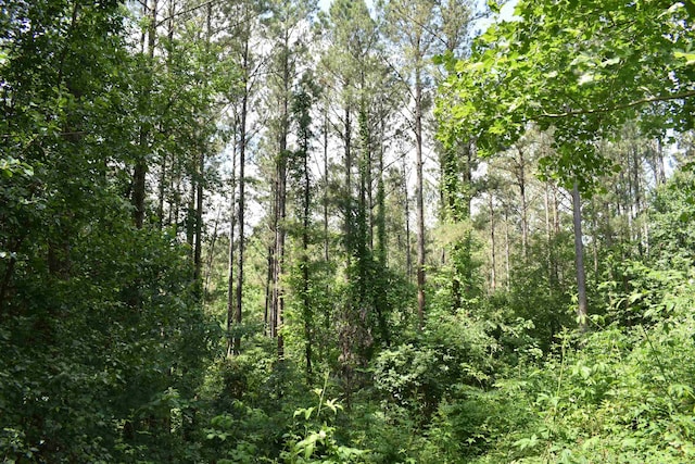 Listing photo 3 for 0 Nickelsville Rd, Ranger GA 30734