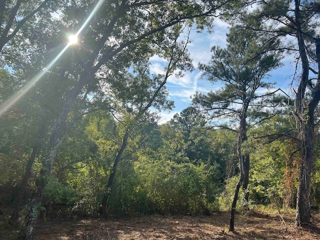 Listing photo 2 for LOT10 Kent Rock Rd, Loganville GA 30052