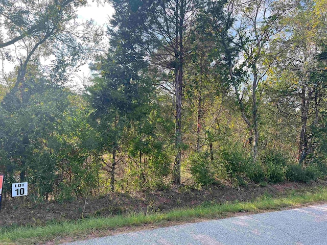 Listing photo 3 for LOT10 Kent Rock Rd, Loganville GA 30052