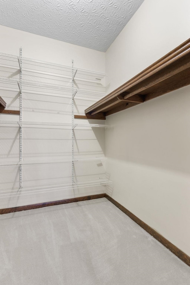 spacious closet featuring carpet