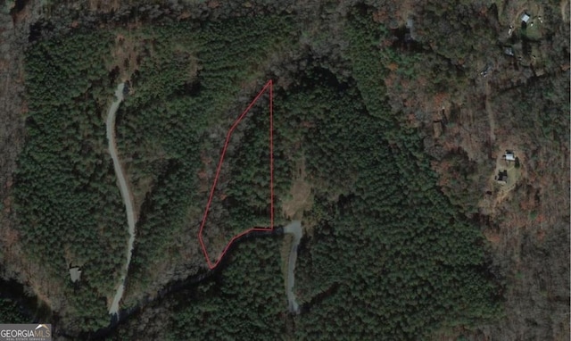 0 Reece Mountain Rd, Ellijay GA, 30540 land for sale