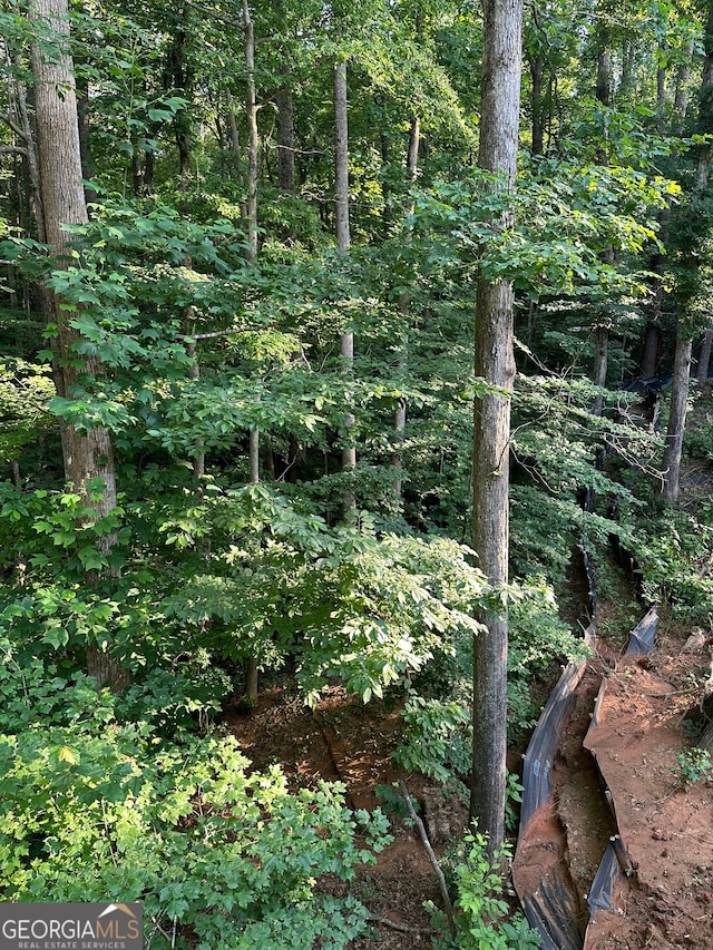 view of local wilderness