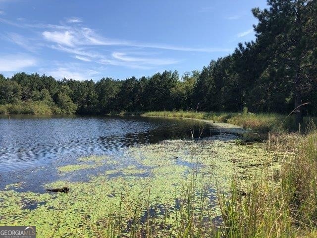 0 Old Macon Rd, Dublin GA, 31021 land for sale