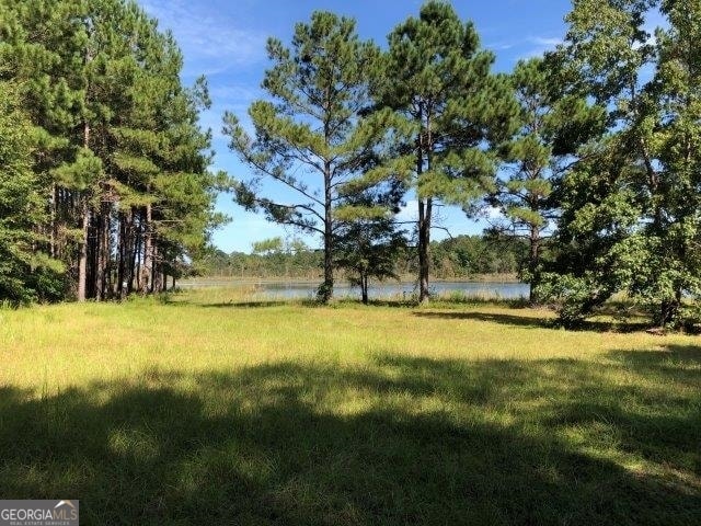 Listing photo 3 for 0 Old Macon Rd, Dublin GA 31021