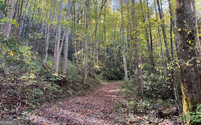 Listing photo 2 for TR1 Tusquittee Rd, Hayesville NC 28904