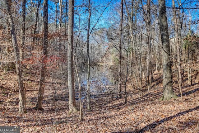 view of local wilderness