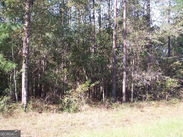 0 Plantation Trl, Statesboro GA, 30458 land for sale