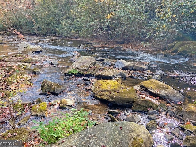 view of mother earth's splendor with a water view