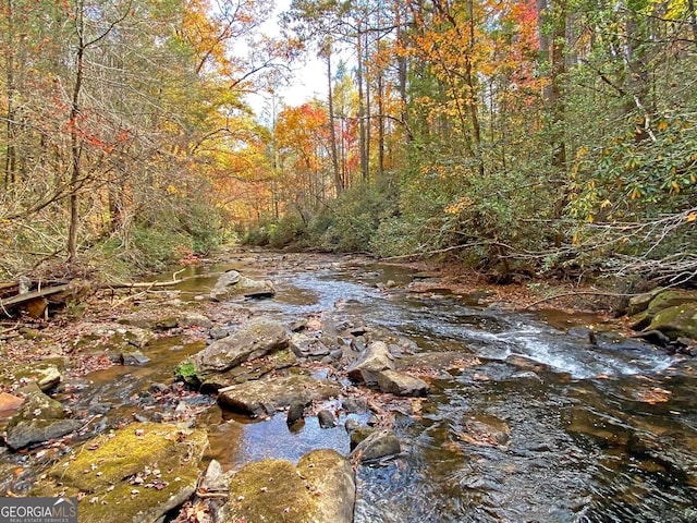 view of local wilderness featuring a water view