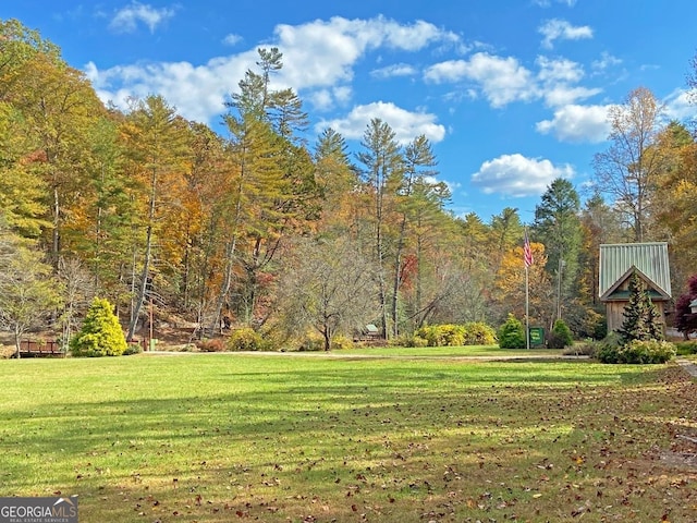 view of yard