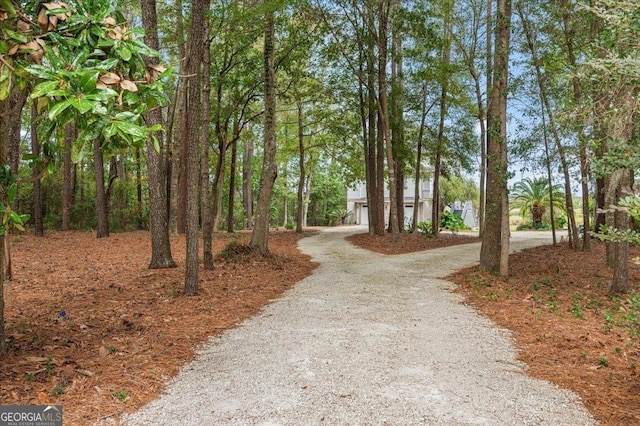 view of road