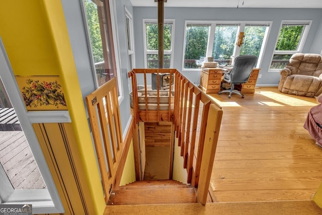 805 Quail Cove Cir, Warne, NC 28909 - stairway featuring hardwood / wood-style flooring