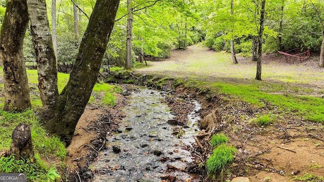 805 Quail Cove Cir, Warne, NC 28909 - view of wooded area