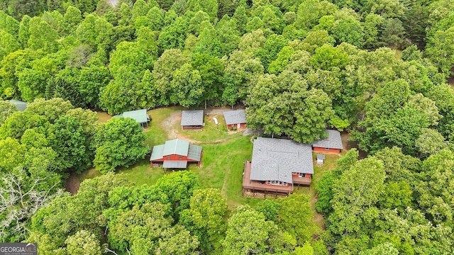 805 Quail Cove Cir, Warne, NC 28909 - drone / aerial view of a forest