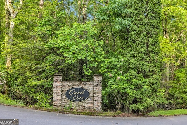 805 Quail Cove Cir, Warne, NC 28909 - community sign with a wooded view