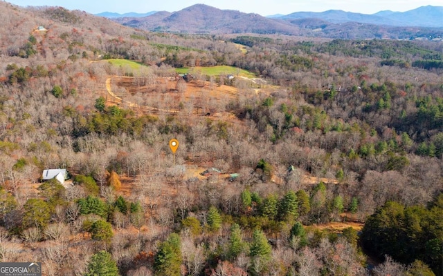 view of mountain view