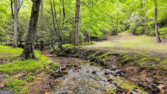 805 Quail Cove Cir, Warne, NC 28909 - view of wooded area