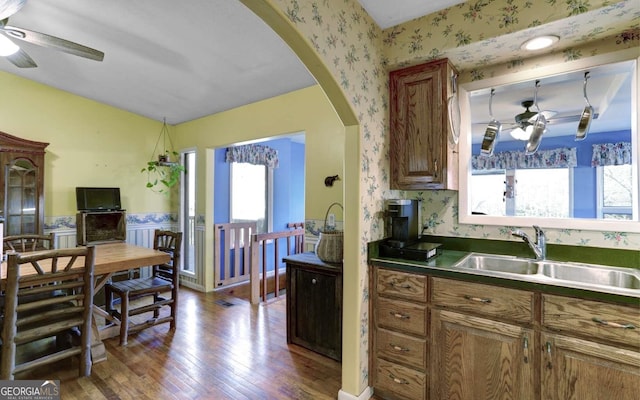 kitchen with dark wood-type flooring, ceiling fan, sink, and a wealth of natural light