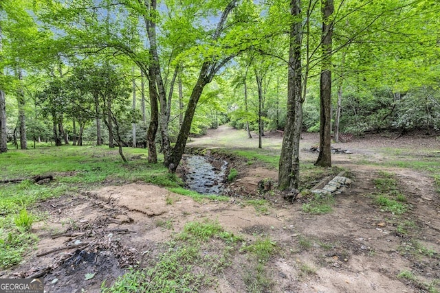 805 Quail Cove Cir, Warne, NC 28909 - view of yard
