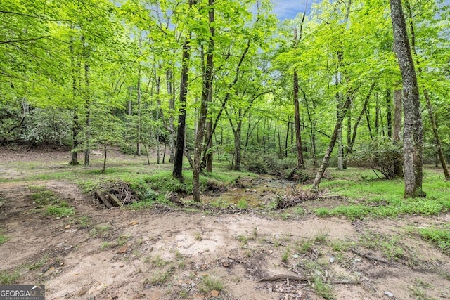805 Quail Cove Cir, Warne, NC 28909 - view of tree filled area