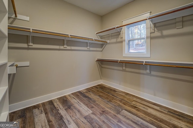 walk in closet featuring dark hardwood / wood-style floors