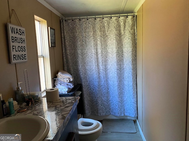 bathroom featuring crown molding, toilet, and vanity