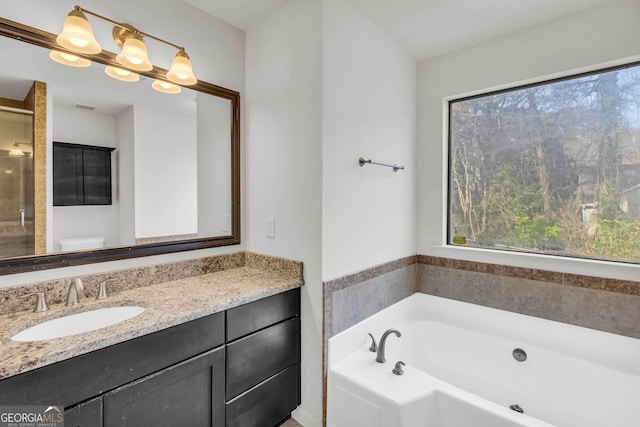 bathroom with plenty of natural light, a washtub, and vanity with extensive cabinet space