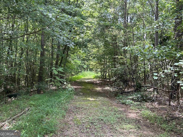 4923 Amsler Rd, Ellenwood, GA 30294