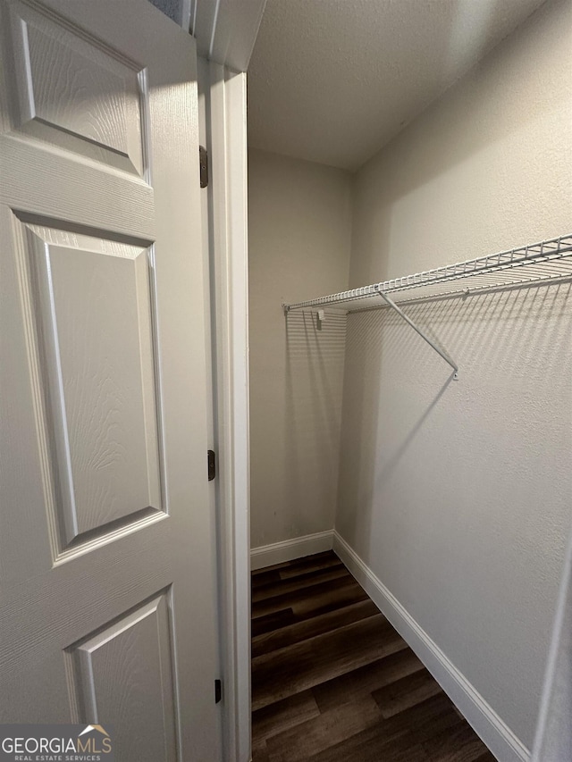 spacious closet with dark hardwood / wood-style floors