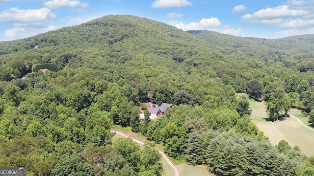 birds eye view of property featuring a mountain view